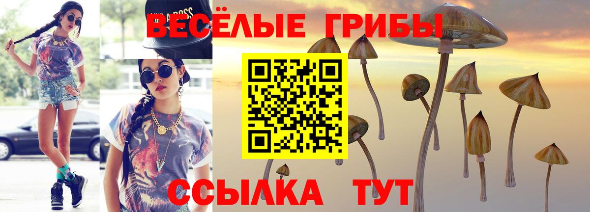Павлово  Галлюциногенные грибы ЛСД  Вход с VPN  Галлюциногенные грибы Psilocybine cubensis 